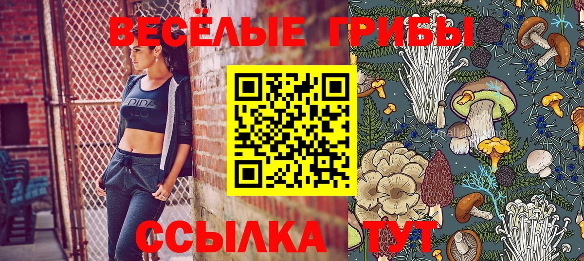 Лениногорск  Cocaine  Каннабис  ЭКСТАЗИ  Вход с VPN  Гашиш  Меф   ГАШ 